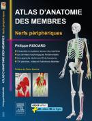 Atlas d'anatomie des membres - Nerfs périphériques
